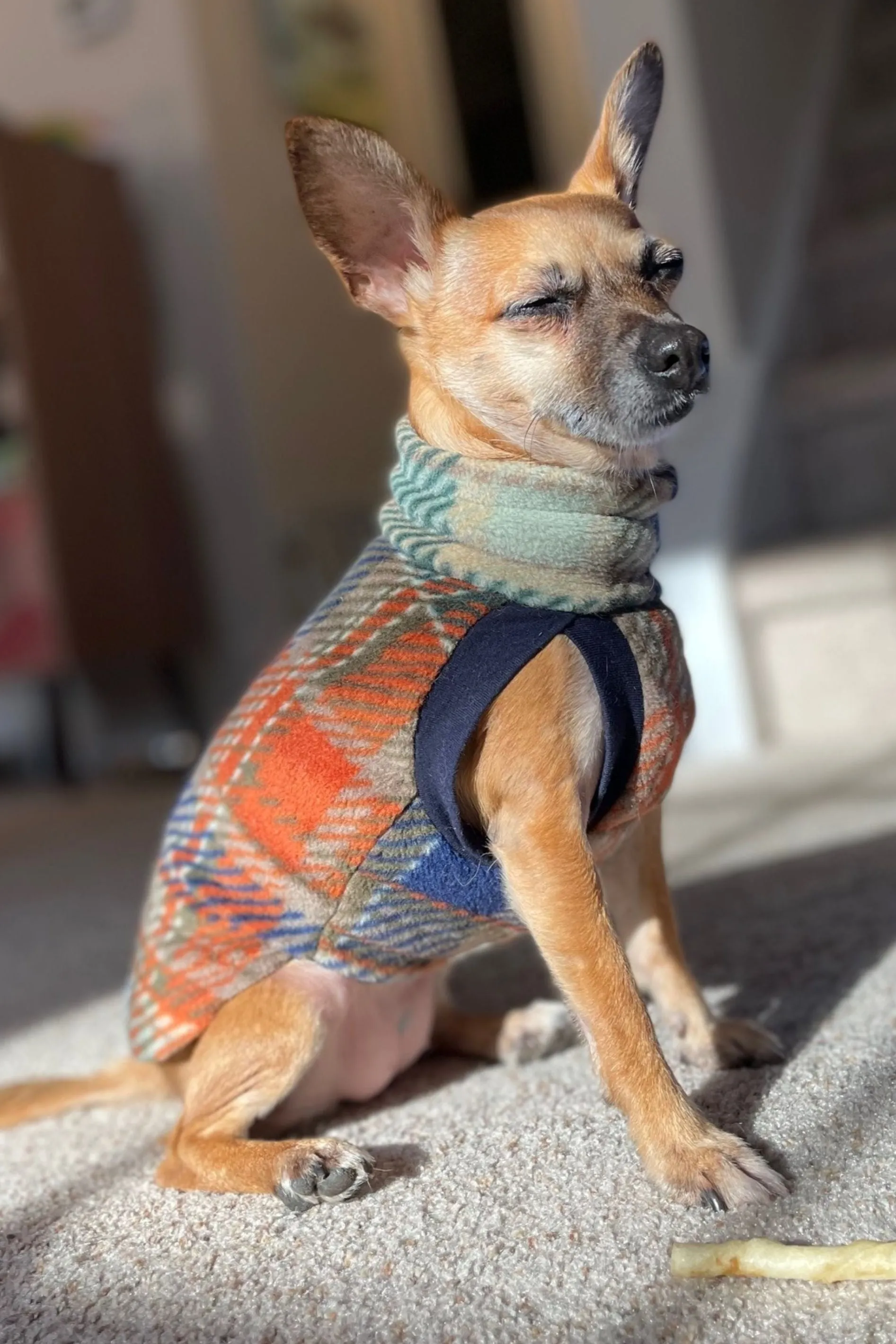 The Harvest Tartan Dog Sweater